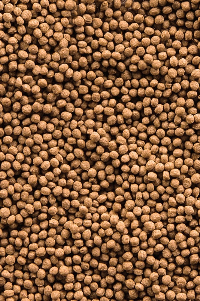 Sera Goldfish Granules 250ml (75g) – Floating Staple Food for Large Goldfish & Fancy Varieties, 4% Insect Meal, Omega Fatty Acids & Prebiotics, Dye-Free, Promotes Growth, Immunity & Clear Water - Image 2