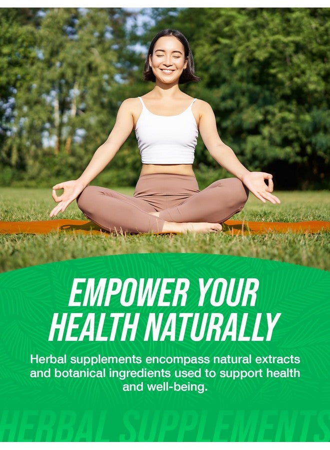 بالك سابلمنتس مسحوق بربارين هيدروكلوريد من BulkSupplements.com - مكمل بربارين، بربارين ٥٠٠ ملغ، مسحوق بربارين - خالٍ من الغلوتين، ٥٠٠ ملغ لكل حصة، ٥٠ غرام (١.٨ أونصة) (عبوة من قطعة واحدة) - Image 3