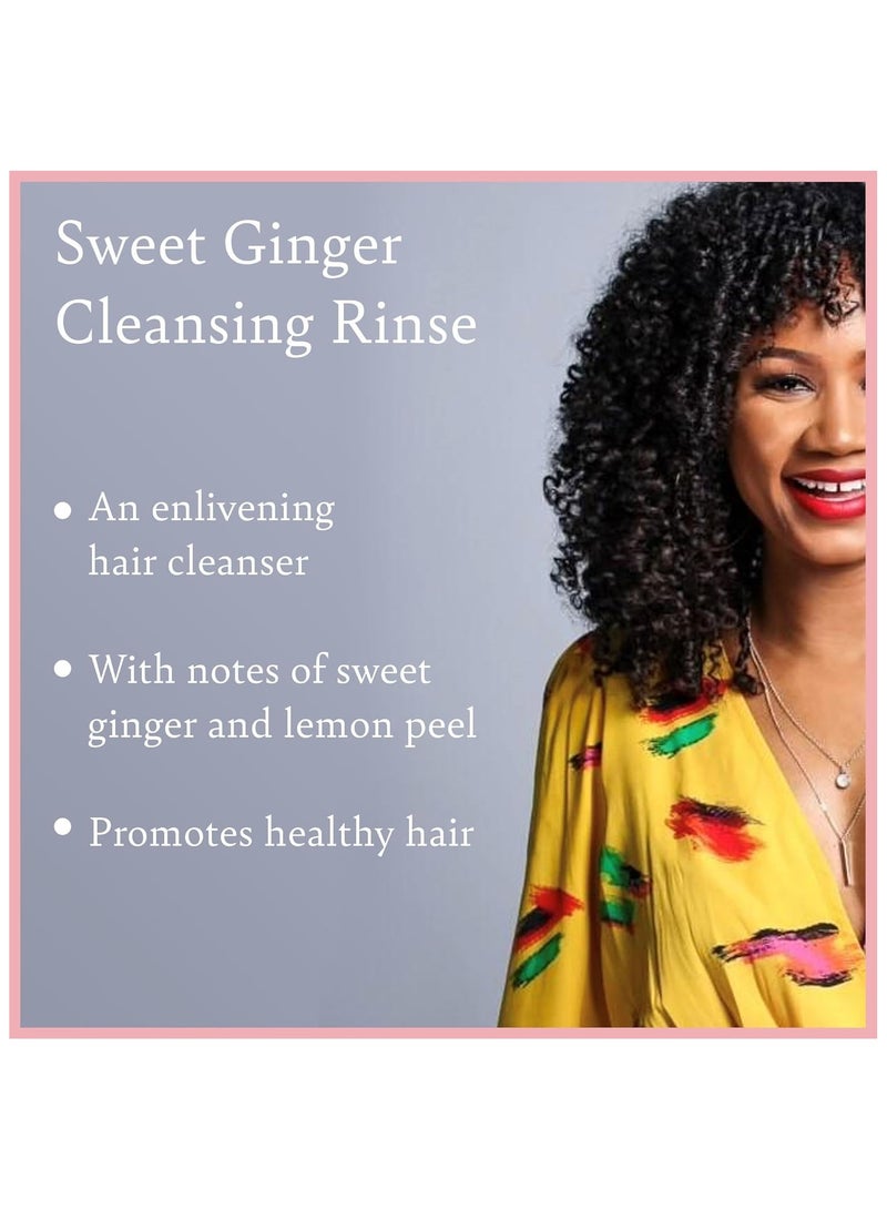 غسول الزنجبيل الحلو من كاميل روز، منظف للشعر وفروة الرأس بجذر الزنجبيل وزيت اليانسون، لتنقية الشعر وترطيبه، لجميع أنواع الشعر، 12 أونصة - Image 4