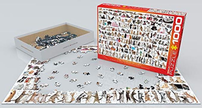 eurographics The World of Cats - Image 5
