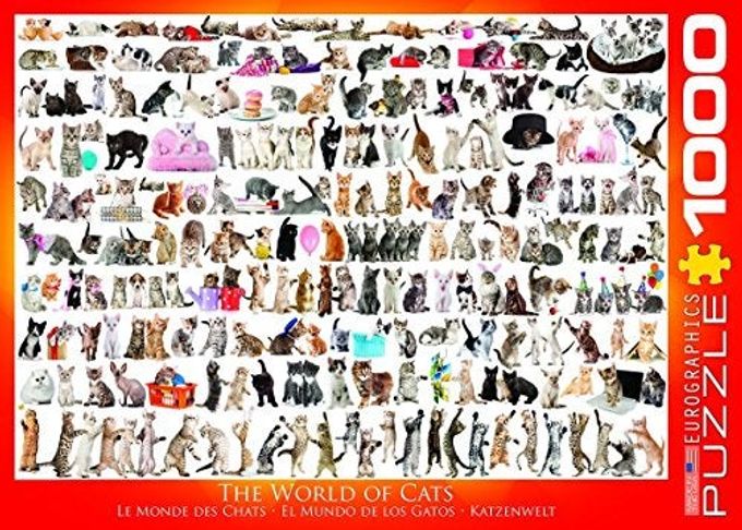 eurographics The World of Cats - Image 3