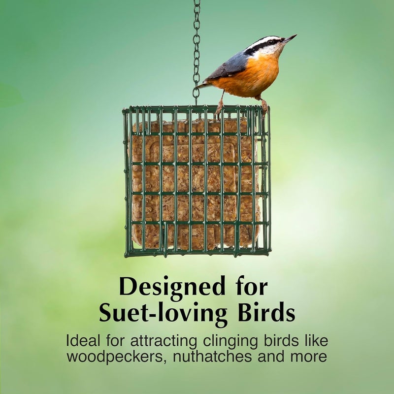 CS C&S EZ Fill Suet Basket for Wild Birds - Green, Holds One Suet Cake - Image 4