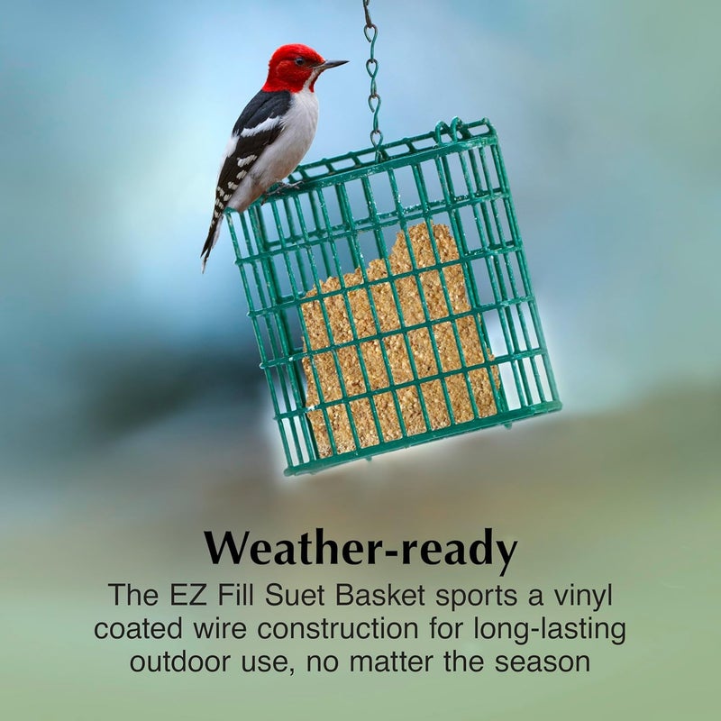 CS C&S EZ Fill Suet Basket for Wild Birds - Green, Holds One Suet Cake - Image 3