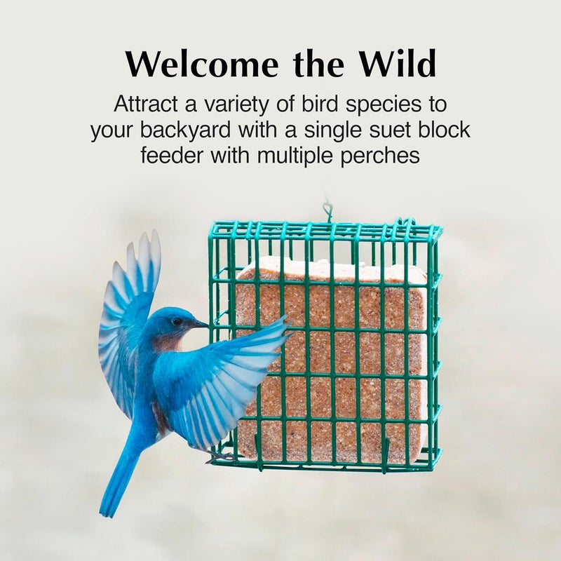 CS C&S EZ Fill Suet Basket for Wild Birds - Green, Holds One Suet Cake - Image 2