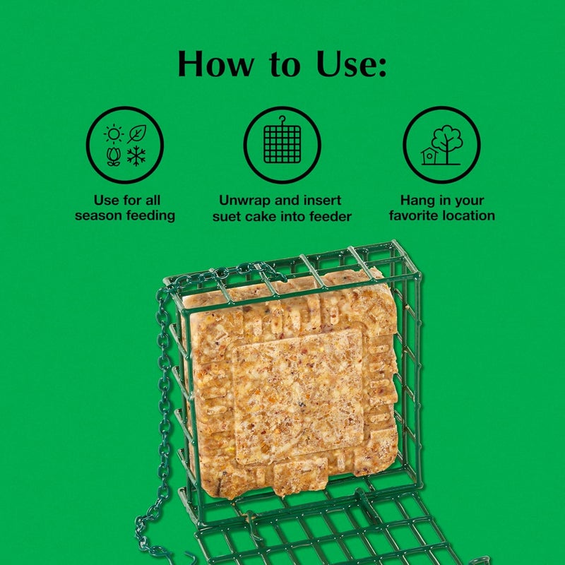 CS C&S EZ Fill Suet Basket for Wild Birds - Green, Holds One Suet Cake - Image 5