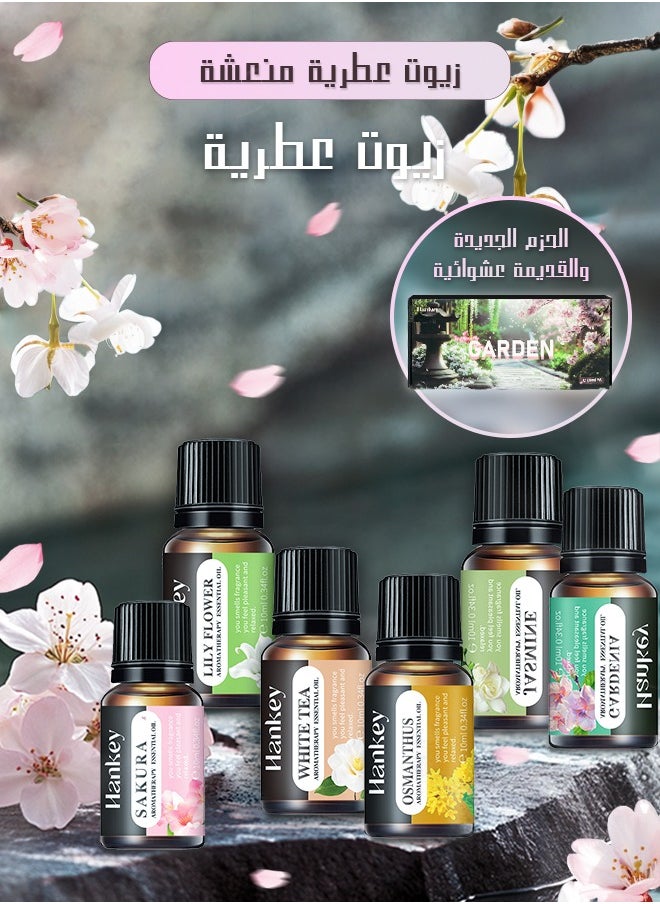 هانكي - زيت عطري، زيوت عطرية للفواحة، مجموعة من 6 خلطات مثالية للاستخدام المنزلي، زيوت عطرية للمرطبات والموزعات بروائح متنوعة. - Image 1