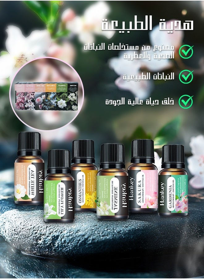 هانكي - زيت عطري، زيوت عطرية للفواحة، مجموعة من 6 خلطات مثالية للاستخدام المنزلي، زيوت عطرية للمرطبات والموزعات بروائح متنوعة. - Image 1