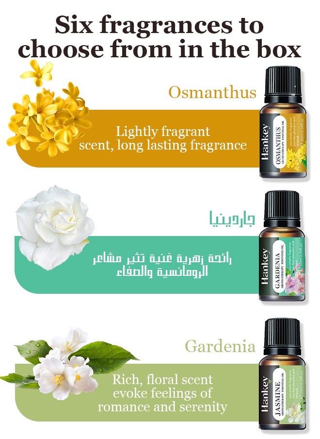 هانكي - زيت عطري، زيوت عطرية للفواحة، مجموعة من 6 خلطات مثالية للاستخدام المنزلي، زيوت عطرية للمرطبات والموزعات بروائح متنوعة. - Image 1