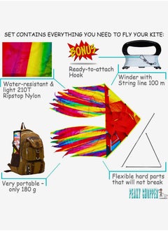 SHAPE UP Single line beach kite for kids & adults, kites for beginner with 1.6 meter strong kite string with winder handle, easy-to-fly lightweight sport & outdoor toys great for all ages - fire bird  - Image 2