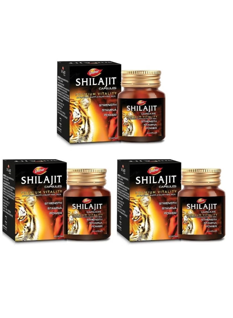Dabur Shilajit Capsules Pure Himalayan Resin Extract 30 Caps PK 3
