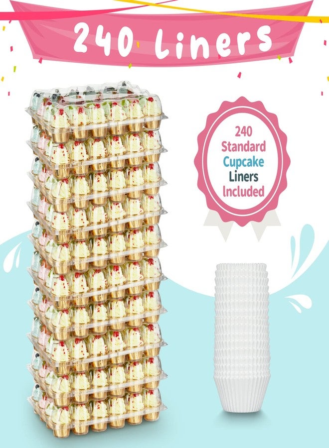 Gencywe (24 Pack x 10 Sets) Stackable Cupcake Carrier Holders with 240 Pack Cupcake Liners, Plastic Cupcake Boxes Holders for 24 Cupcakes, High Tall Dome Lid Cupcake Containers, Clear Disposable - Image 5
