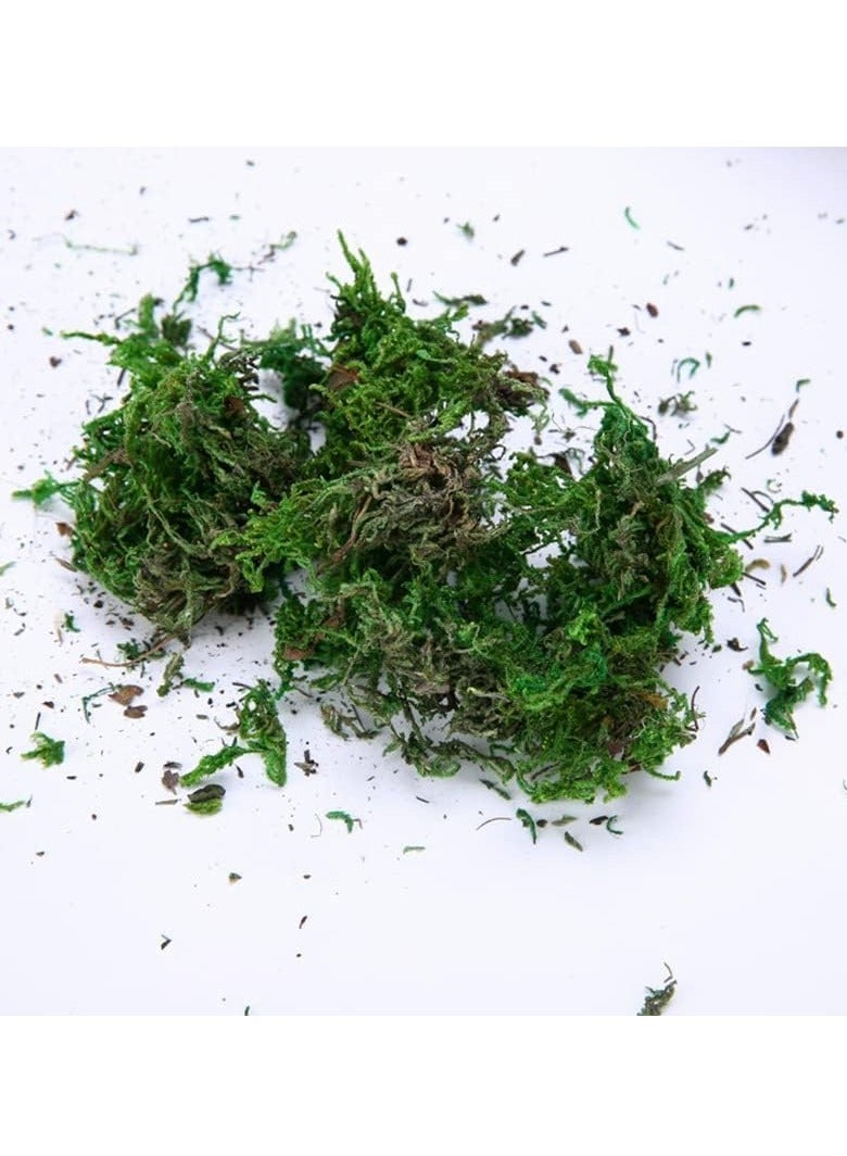Generic 𝐅𝐅𝐃 Natural Green Dried Moss Grass (400g) – Preserved Moss for Pots, Terrariums, Indoor Plants, and Crafts – Eco-Friendly, Long-Lasting Decorative Ground Cover  - Image 3