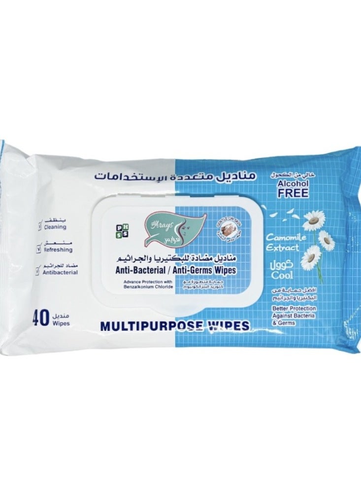 Alarays Two Pieces of Anti Bacterial And Anti Germs Wipes 40 Wipes Cool  - Image 2