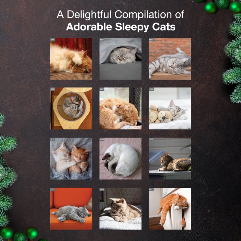 MICASA PRESS Cat Naps 2026 Wall Calendar 12 Month | 12" x 24" Open | Thick & Sturdy Paper | Holiday Gift | Cute Funny Kitten Cat Calendar 2026 - Image 3