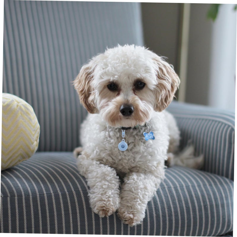 4 Pcs Durable Pet ID Tag Covers Scratch Resistant Easy Attach Collar Accessories - Image 4