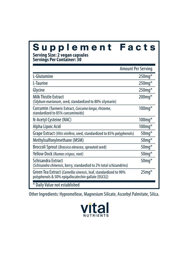 فيتل نيوترينس تركيبة Vital Nutrients Detox | Vegan Liver Detox | مكمل مضاد للأكسدة يعزز صحة الكبد ويدعم إزالة السموم | خالٍ من الجلوتين ومنتجات الألبان وفول الصويا | غير معدّل وراثيًا | 60 كبسولة - Image 2