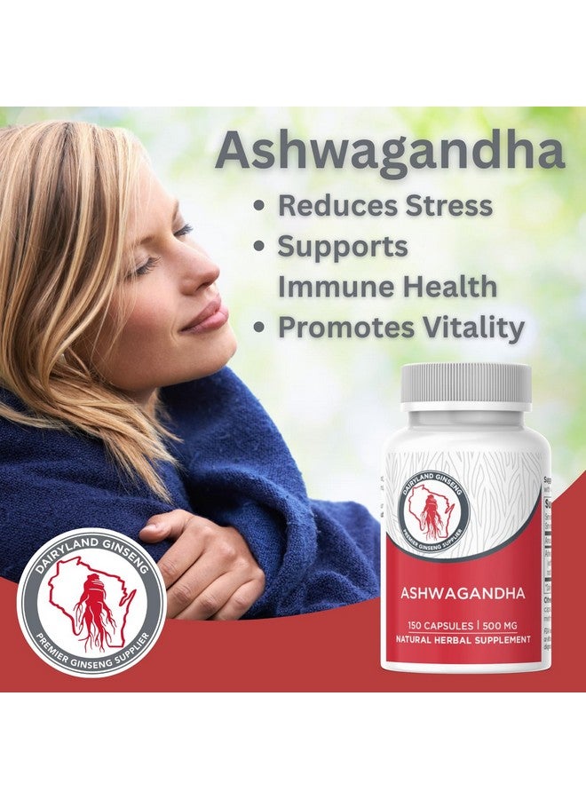 Dairyland Management LLC Dairyland Management Ashwagandha Capsules 150ct - 1000 mg per Serving Max Strength Ashwagandha Root Powder - Herbal Supplements and Extract - Image 4