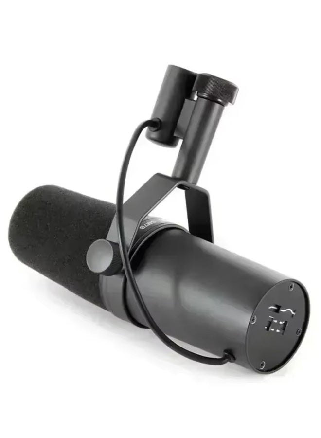 SM7dB Dynamic Vocal Microphone w/Built-in Preamp for Streaming, Podcast, & Recording, Wide-Range Frequency, Warm & Smooth Sound, Rugged Construction, Detachable Windscreen SM7DB Black  - Image 4