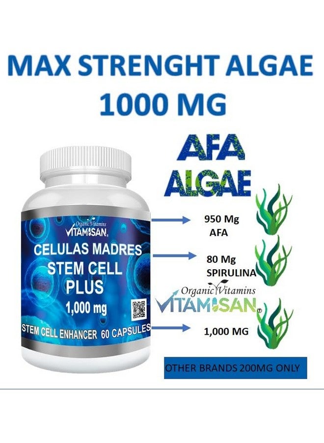 Vitamisan Celulas Madres 60 Capsules Vitamisan 1000 mg Aphanizomenon Flos-aquae Blue Green Algae AFA Stem Natural Cell - Image 2