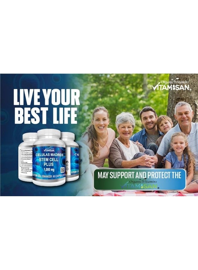 Vitamisan Celulas Madres 60 Capsules Vitamisan 1000 mg Aphanizomenon Flos-aquae Blue Green Algae AFA Stem Natural Cell - Image 4