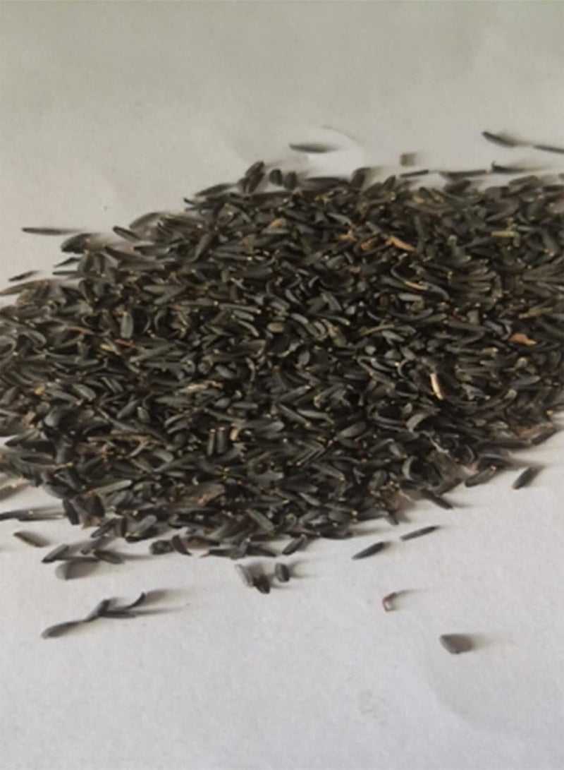 جي جوت مجموعة بذور الأقحوان المنزلية المزروعة، شتلات بونساي المعمرة المزخرفة للحديقة، مقاس 1، 1 - Image 3