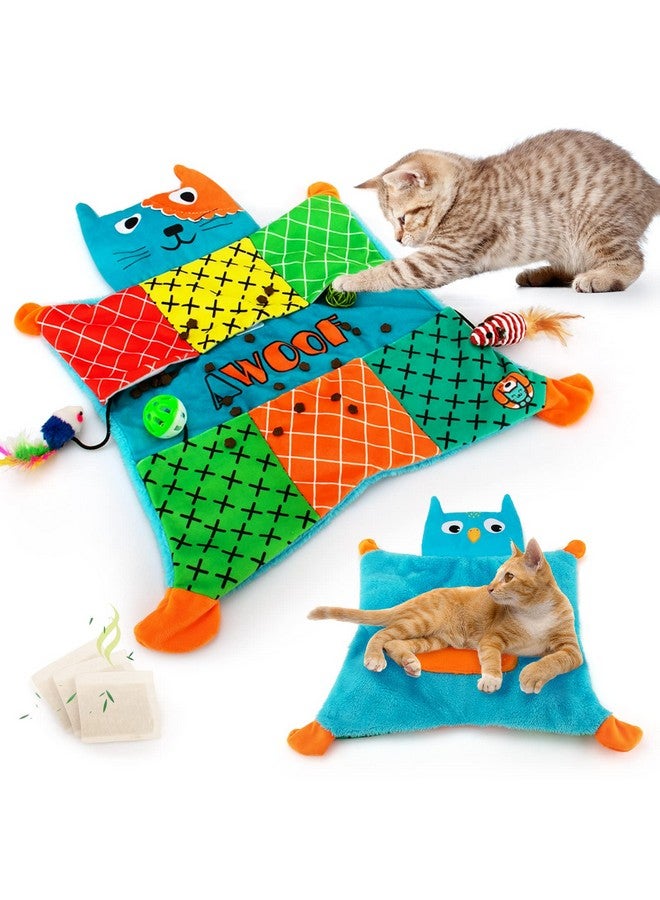 AWOOF Cute Soft Catnip Mat, Interactive Cat Toys for Indoor Cats - Image 1