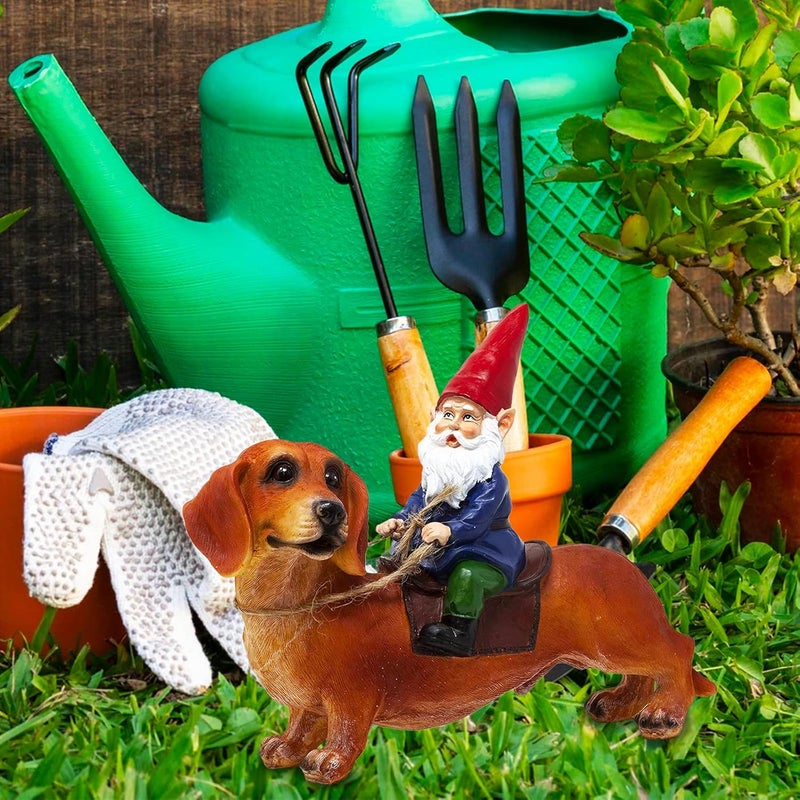 Funny Guy Mugs Gnome and a Dachshund Garden Gnome Statue- Indoor/Outdoor Garden Gnome Sculpture for Patio, Yard or Lawn - Image 2