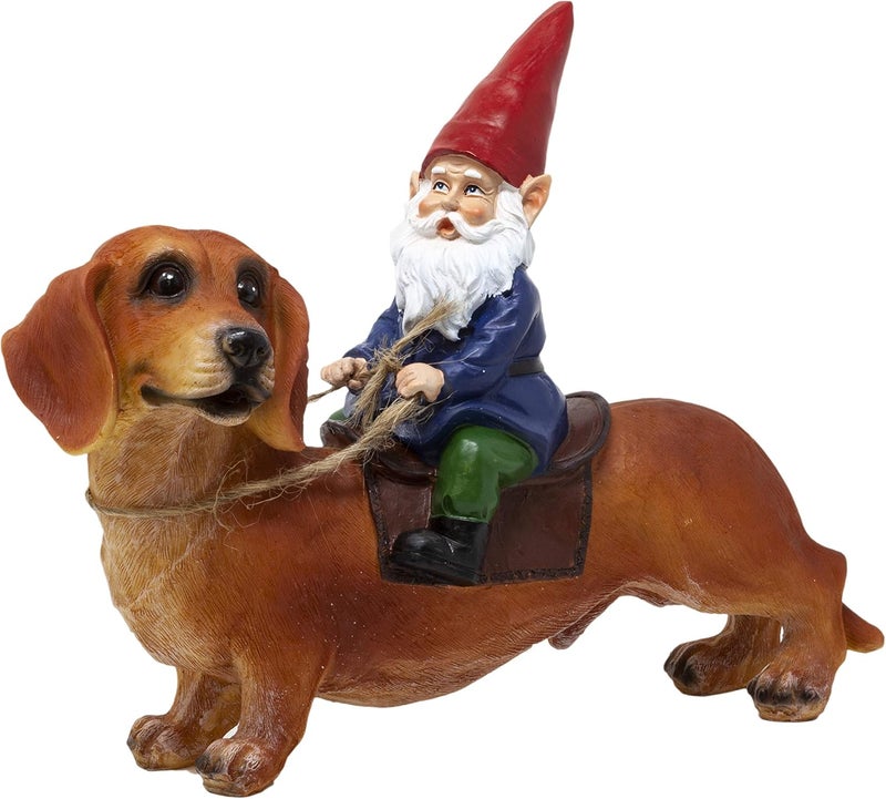 Funny Guy Mugs Gnome and a Dachshund Garden Gnome Statue- Indoor/Outdoor Garden Gnome Sculpture for Patio, Yard or Lawn - Image 1