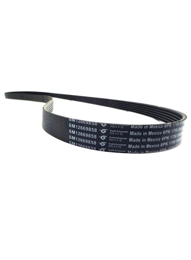 ACDelco V-Ribbed Belt - 12669858  - Image 1