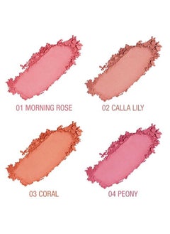 Tintark TINTARK Cheeky Blush Compact for Face Cheeks, Talc Free Blusher Palette, Matte Powder Makeup, Natural Healthy, Mauve Pink Magenta Peach Red, Vegan Cruelty Free  - Image 2