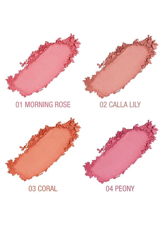 TINTARK Cheeky Blush Compact for Face Cheeks, Talc Free Blusher Palette, Matte Powder Makeup, Natural Healthy, Mauve Pink Magenta Peach Red, Vegan Cruelty Free - Image 2
