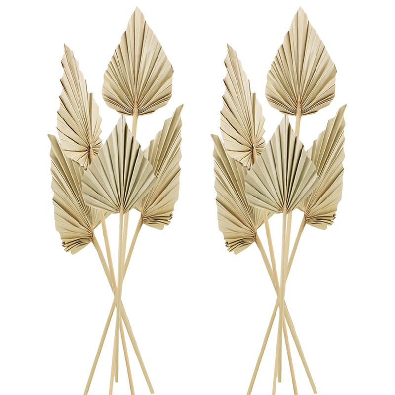 Chenkaiyang 10 Pcs Boho Dried Palm Spears Leaves Bulk  Small Natural Dried Real Palm Fans Dried Palm Leaves with Stem Dried Leaf Boho Home Decor for Vase Wedding Office Home(10 Pieces) - Image 1