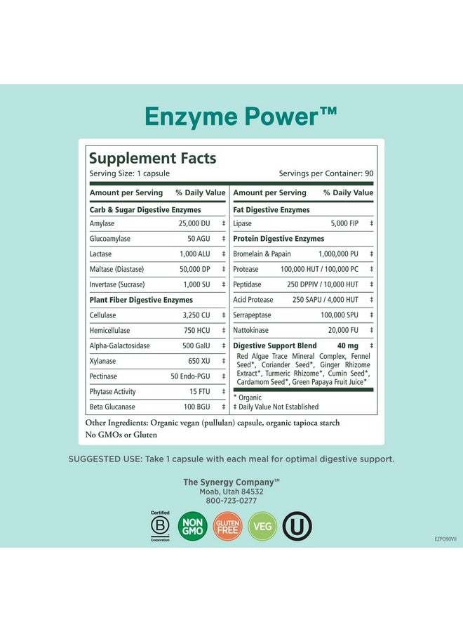 بيور سينرجي قوة إنزيم بيور سينيرجي | مكمل غذائي لإنزيمات الهضم | إنزيمات لصحة الجهاز الهضمي مع ناتوكيناز، وبروميلين، وسيراببتاز | لصحة الجهاز الهضمي والأمعاء (90 كبسولة) - Image 2