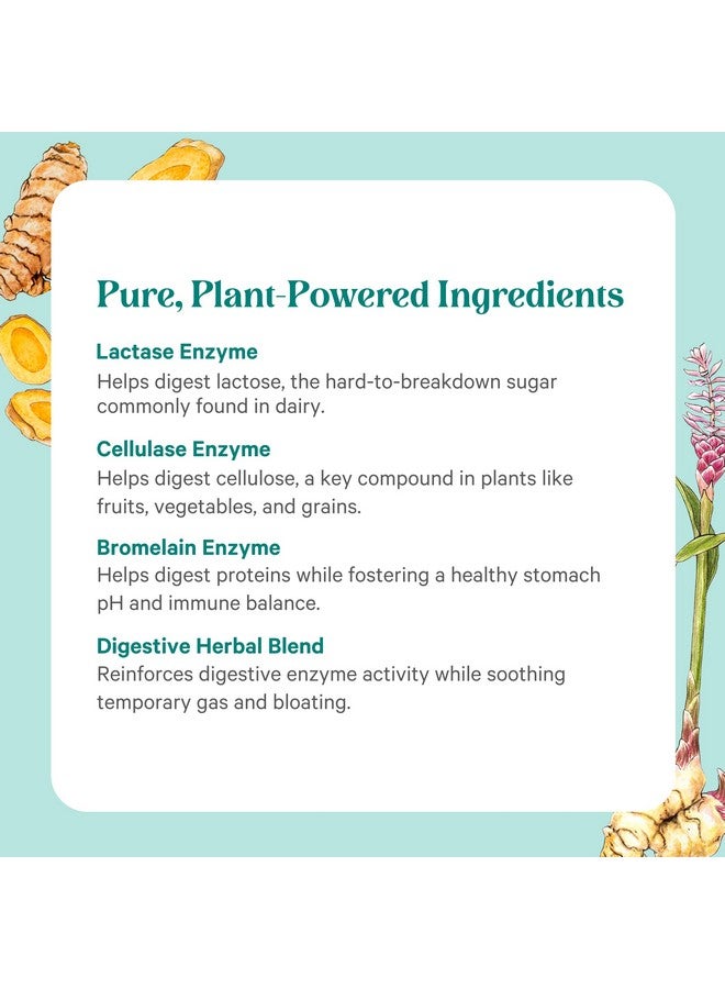 بيور سينرجي قوة إنزيم بيور سينيرجي | مكمل غذائي لإنزيمات الهضم | إنزيمات لصحة الجهاز الهضمي مع ناتوكيناز، وبروميلين، وسيراببتاز | لصحة الجهاز الهضمي والأمعاء (90 كبسولة) - Image 5