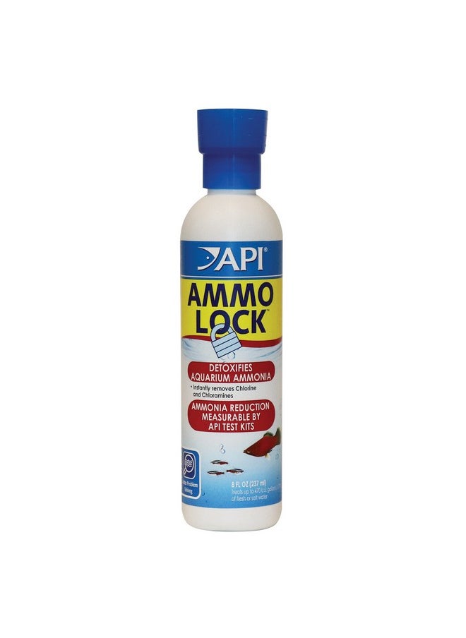 API API AMMO-LOCK Freshwater and Saltwater Aquarium Ammonia Detoxifier 8-Ounce Bottle (45D)  - Image 1