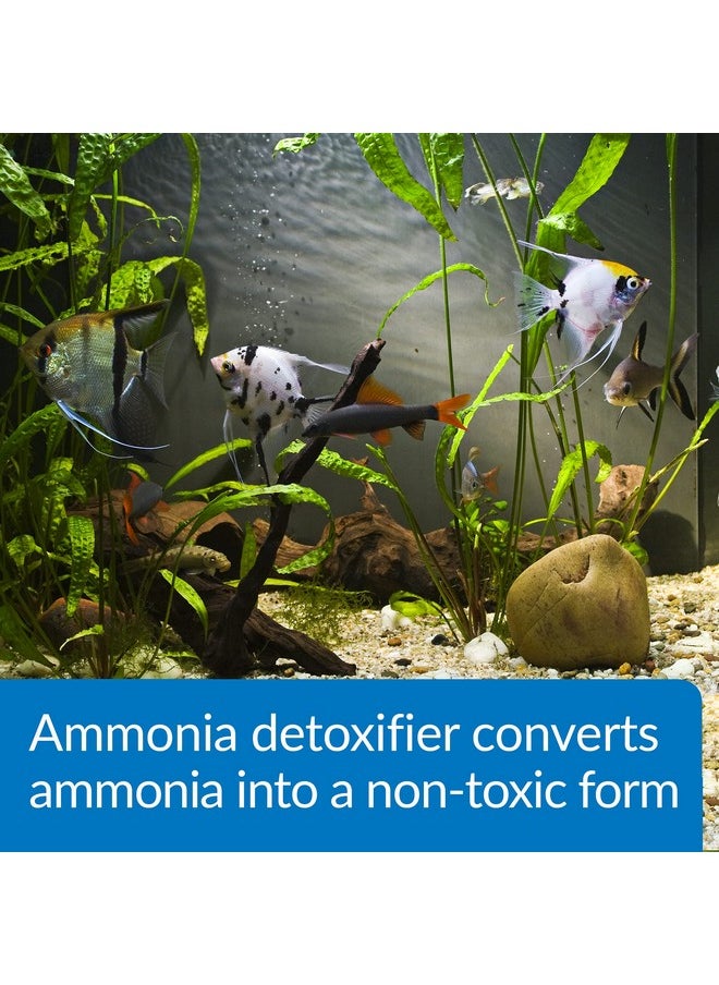 API API AMMO-LOCK Freshwater and Saltwater Aquarium Ammonia Detoxifier 8-Ounce Bottle (45D)  - Image 3