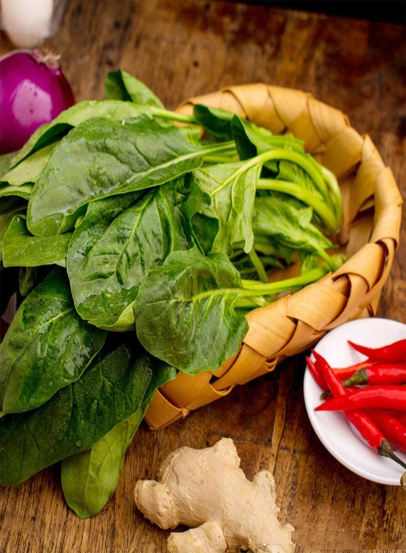 GGOOT 300Stück Spinatsamen Salatblätter Samen Guter Geschmack Hausgarten Gemüsesamen Kultivieren Sie das Interesse am Pflanzen Genießen Sie die ländliche Landschaft - Image 2