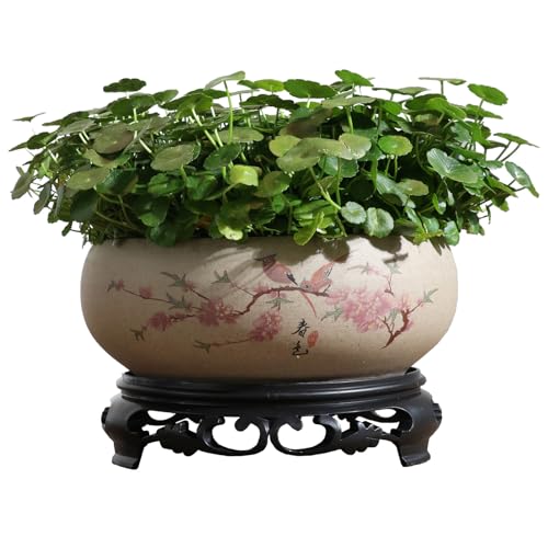 TOIVO Lotus Bowl Planter, Coarse Pottery Water Lily Flower Pot with Plastic Base, 7.8 inches (B-2) - Image 5