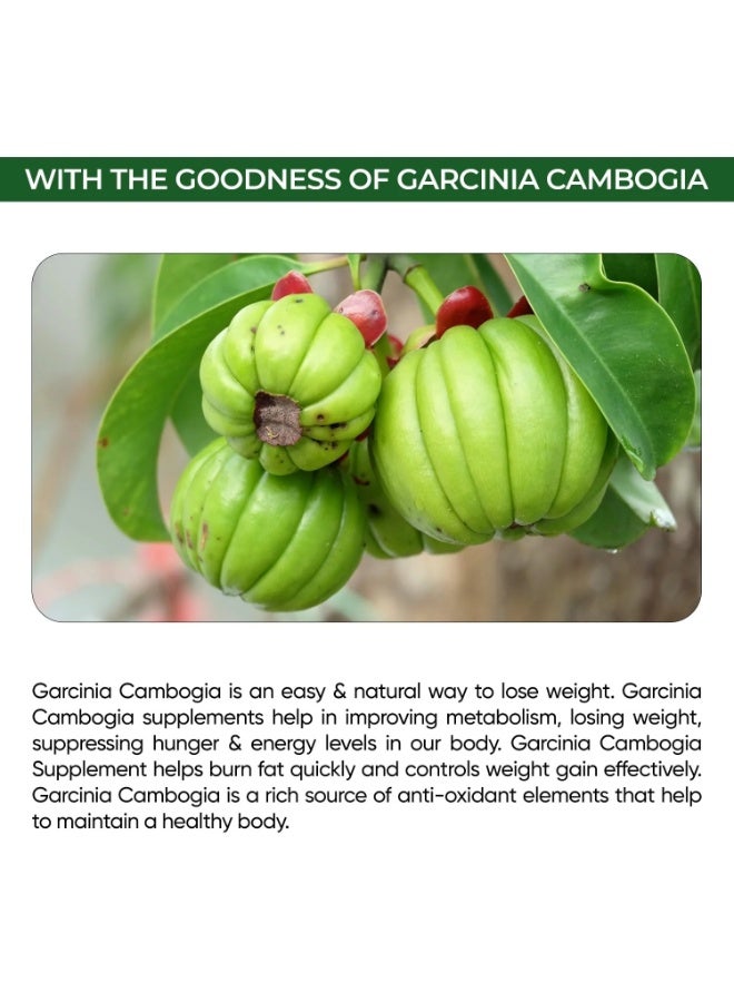 هيربال ماكس كبسولة غارسينيا كامبوجيا العشبية ماكس مع 70% من حمض هيدروكلوريك، ومستخلص الشاي الأخضر، ومستخلص الجوجول للتحكم في الوزن - 60 كبسولةكبسولة غارسينيا كامبوجيا العشبية ماكس مع 70% من حمض هيدروكلوريك، ومستخلص الشاي الأخضر، ومستخلص غوغول للتحكم في الوزن - 60 كبسولة (عبوة من قطعة واحدة) - Image 3