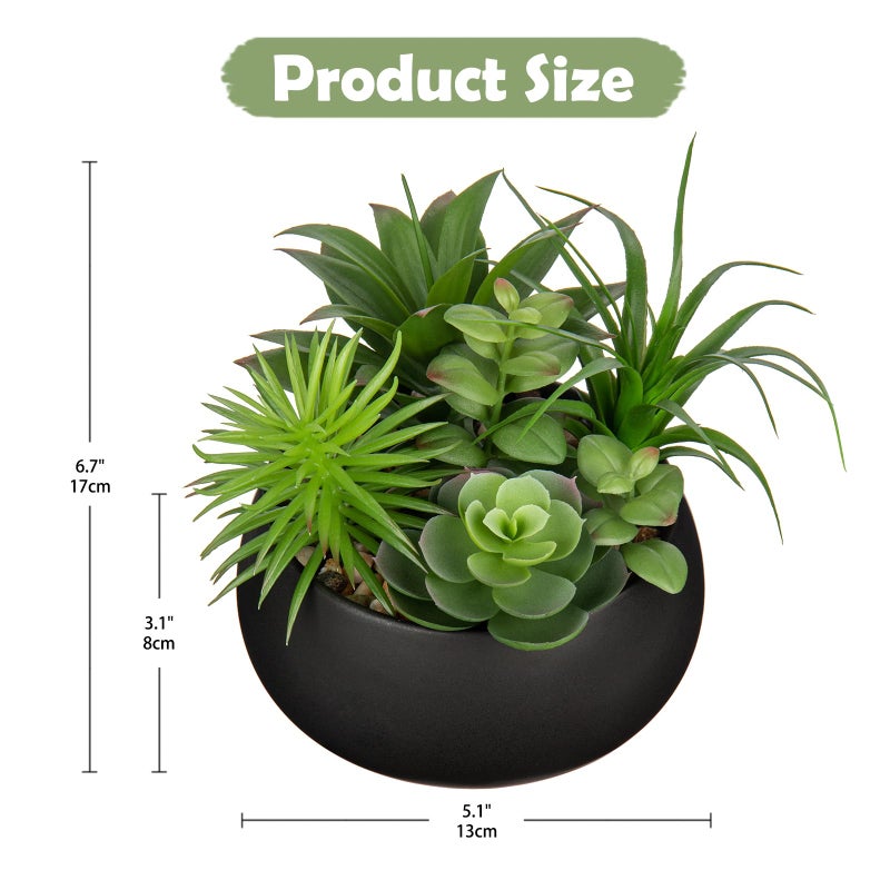 Hollyone Fake Plants Artificial Succulents in Pots Faux Succulent Arrangement Potted Plant in Black Ceramic Planter Bowl for Home Decor Office Desk Bathroom Shelf Living Room Indoor Decorations - Image 2