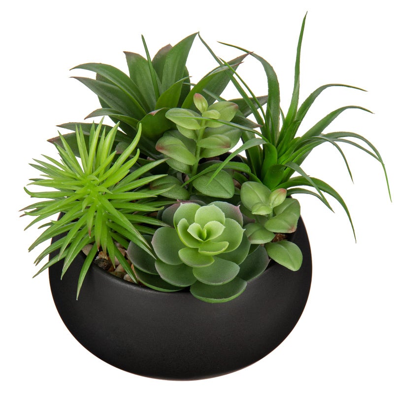 Hollyone Fake Plants Artificial Succulents in Pots Faux Succulent Arrangement Potted Plant in Black Ceramic Planter Bowl for Home Decor Office Desk Bathroom Shelf Living Room Indoor Decorations - Image 1
