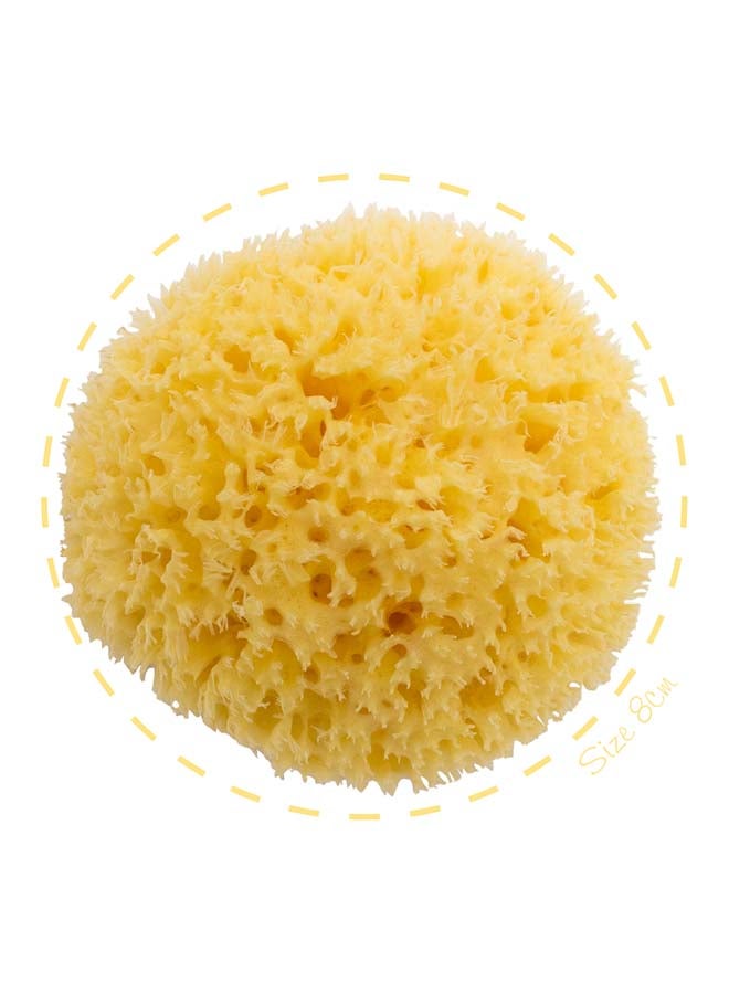 Bellini Premium Natural Honeycomb Sea Sponge – 16 cm – Made from Natural Sea Sponge – Hypoallergenic Baby Bath Sponge – Biodegradable, Eco-Friendly & Gentle for Newborns and Delicate skin - Image 1