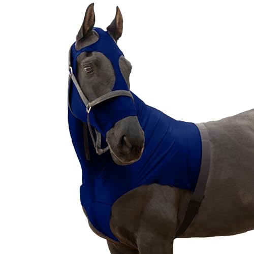 RESISTANCE Premium Horse Hood Pull-On with Face - Horse Sleazy Slickers and Horse Care Sheet - Image 1