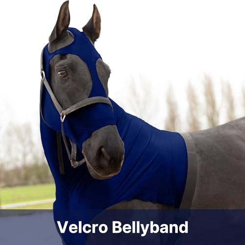 RESISTANCE Premium Horse Hood Pull-On with Face - Horse Sleazy Slickers and Horse Care Sheet - Image 2