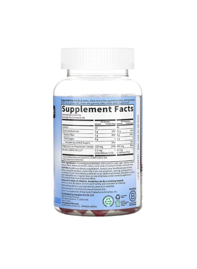 Magnesium with Pre  Probiotics Gummies Raspberry  60 Gummies