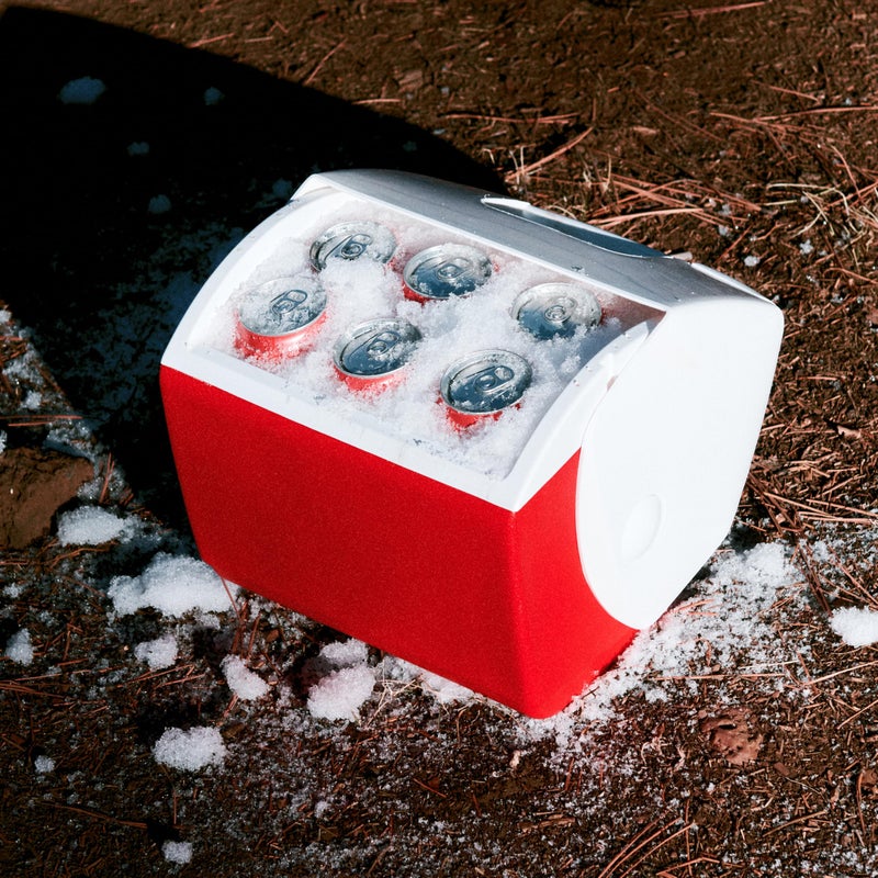 Igloo Playmate - Image 4