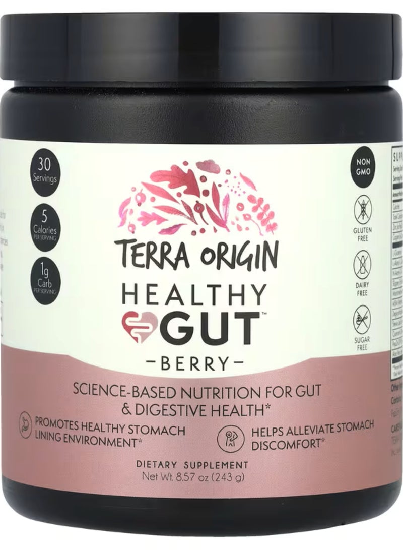 Terra Origin Healthy Gut, Berry, 8.57 oz (243 g) - Image 1