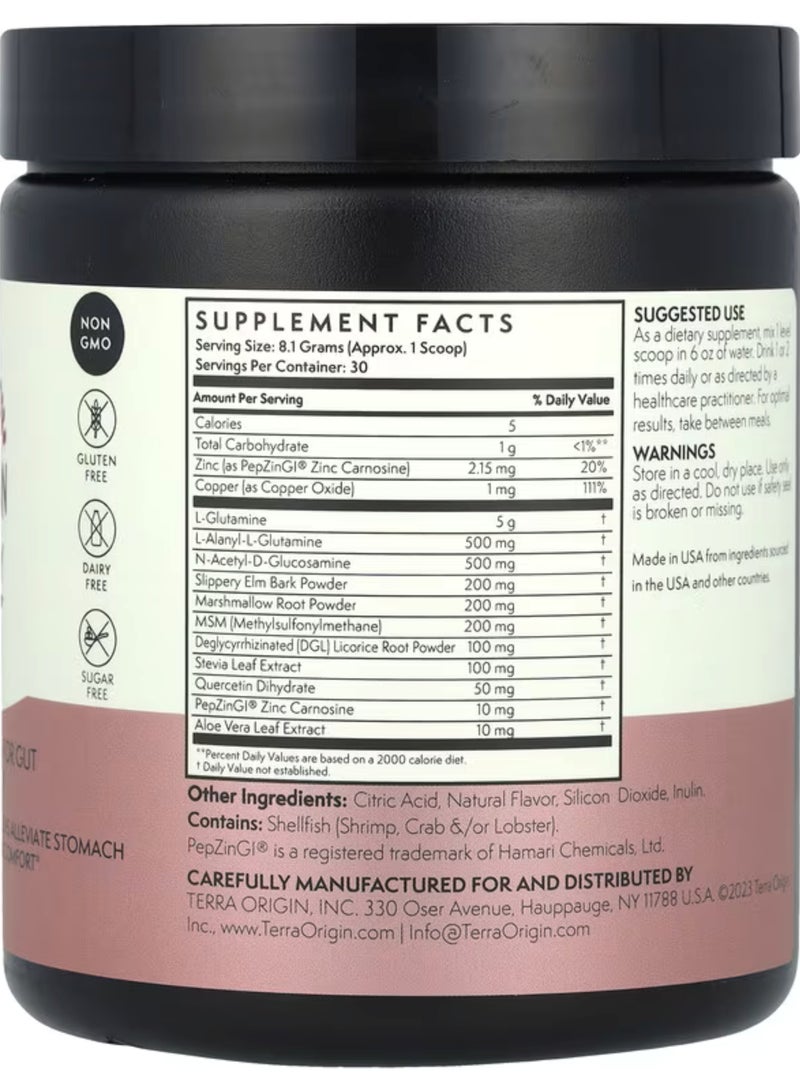 Terra Origin Healthy Gut, Berry, 8.57 oz (243 g) - Image 2