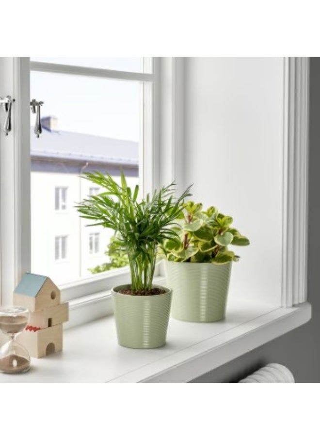 Generic Plant pot, light green, 9 cm  - Image 2