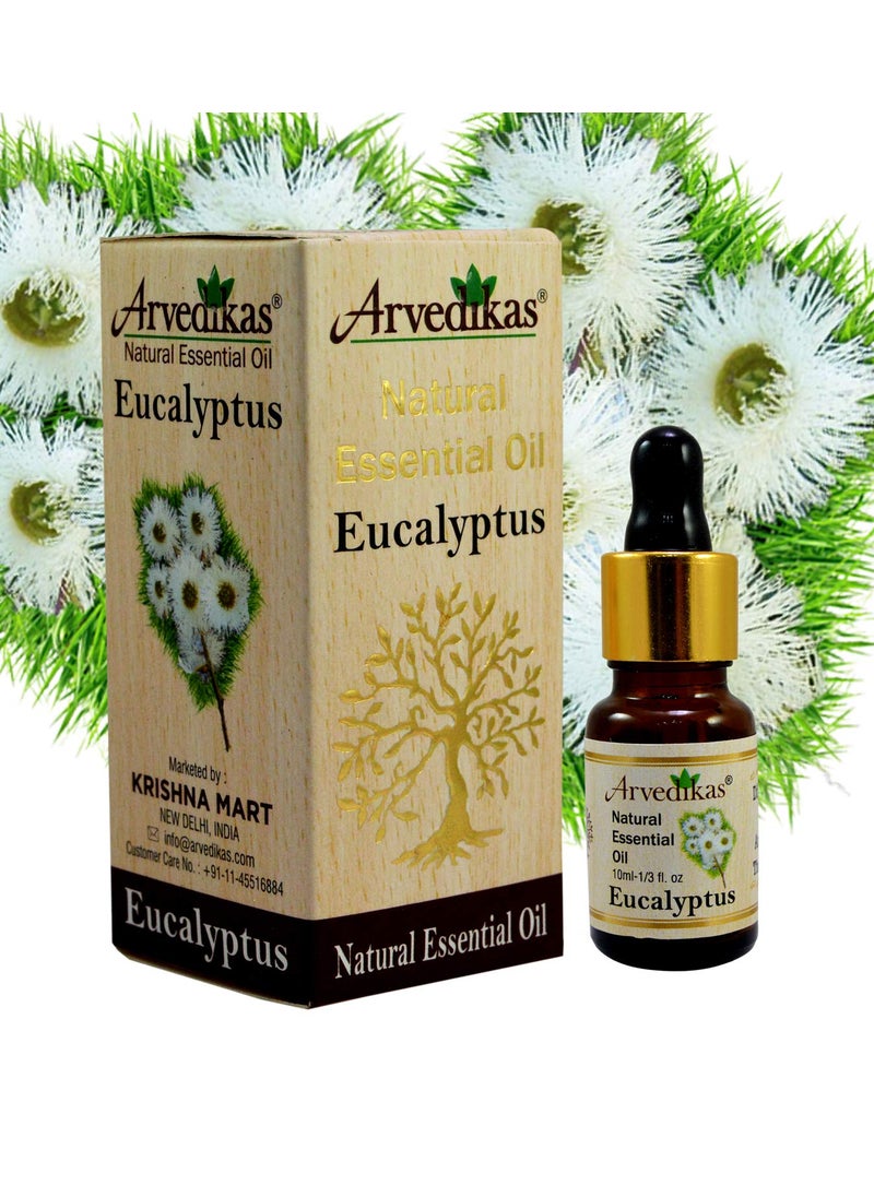 ARVEDIKAS Arvedikas Eucalyptus Essential Oil 10 Ml  - Image 1